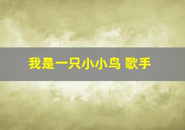 我是一只小小鸟 歌手